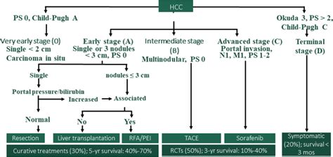Figure 4 Staging System For Hepatocellular Carcinoma Liver