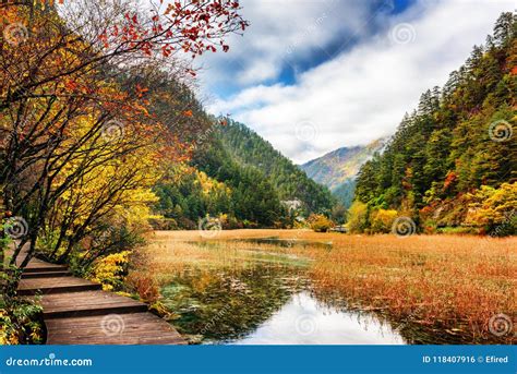 Boardwalk Along Lake With Crystal Clear Water Among Fall Woods Stock