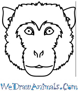More images for how to draw a simple monkey face » How to Draw a Monkey Face