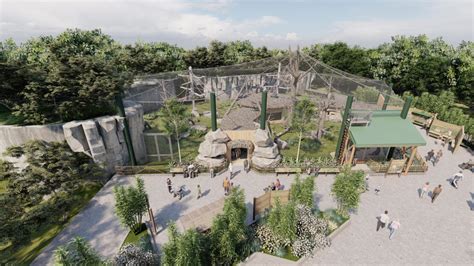 New Outdoor Gorilla Habitat At Franklin Park Zoo Jamaica Plain News