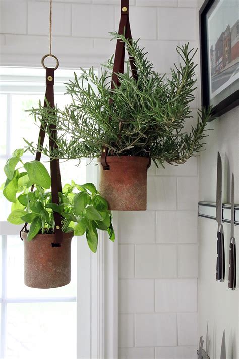 Hanging Herbs In The Kitchen Hanging Plants Indoor