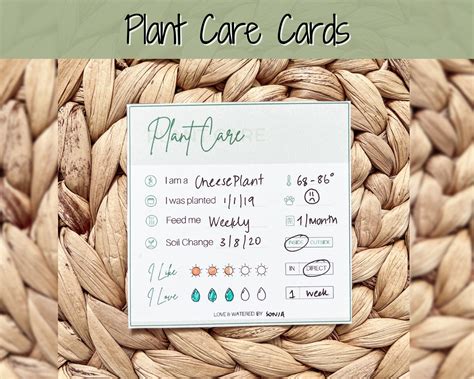 Plant Care Instructions Card Printable Plant Tags Digital Etsy Uk