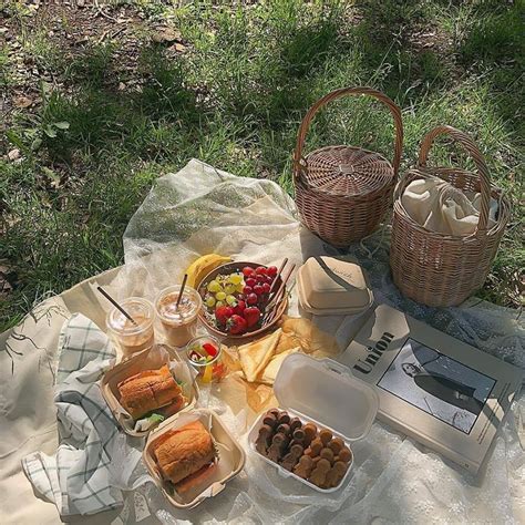 Summer Beach Picnic Aesthetic Viral And Trend