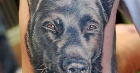German Shepherd K9 Police Dog Tattoo By Shane Oneill