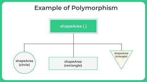 Polymorphism In Java Java Tutorial