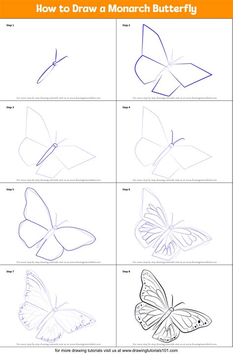how to draw a monarch butterfly butterflies step by step
