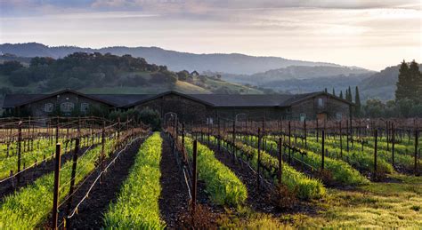 Sonoma Coast Wineries Guide To The Best Wineries In Sonoma County