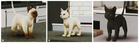 My Sims 4 Blog We Need Pets Decorative Cats By Blackle