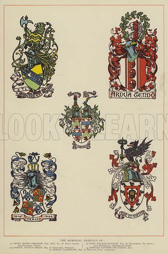 the armorial bearings stock image look and learn