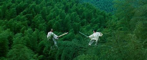 Review Crouching Tiger Hidden Dragon Brothers Film