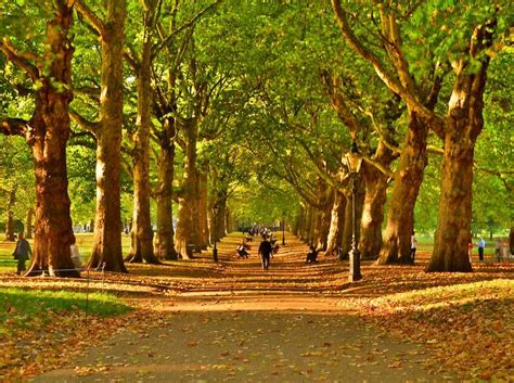 Cosy Photos Of Autumn In London