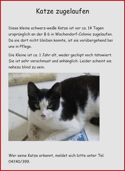 We did not find results for: Katze Vermisst Vorlage Schönste Katze Vermisst Vorlage ...