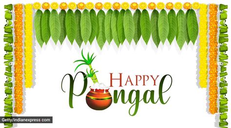 Pongal valthu pongal wish greetings for family, sisters brothers. Pongal 2021 Tamil Nadu / Finn ut når det Pongal Feiret i ...