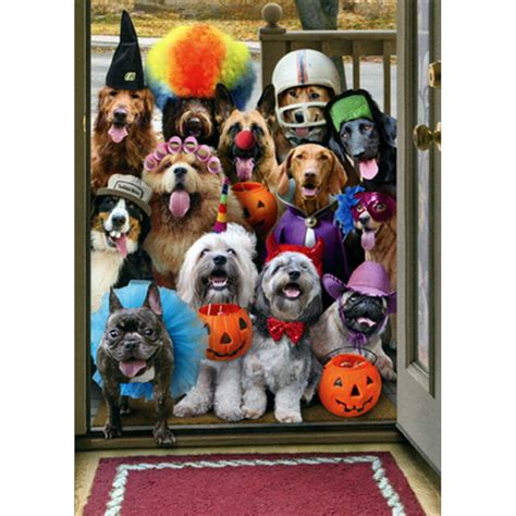 Avanti Press Trick Or Treat Dogs Funny Humorous Halloween Card