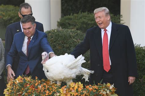 trump jokes about impeachment at the turkey pardon