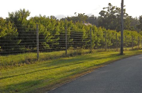 How To Build An Attractive Deer Fence