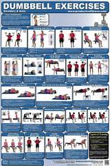 Photos of Workout Exercises With Dumbbells