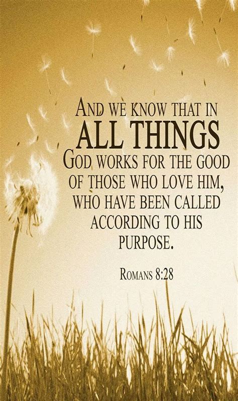 Romans 828 Niv And We Know That In All Things God Works For The