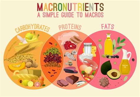 A Beginners Guide To Counting Macros Hungry And Fit