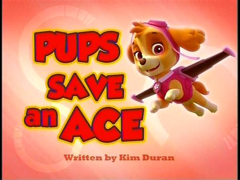 Image Pups Save An Ace Sdpng Paw Patrol Wiki Fandom Powered By Wikia