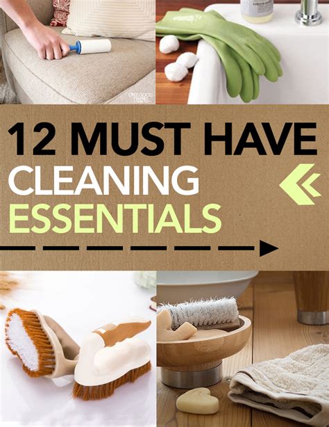 12 Must Have Cleaning Essentials Page 12 Of 12 The Organized Chick