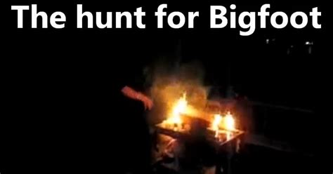 Real Bigfoot Encounters In Ohio