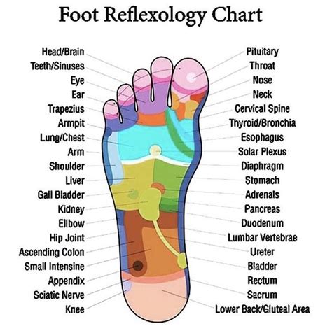 Foot Reflexology Chart Top Of Foot