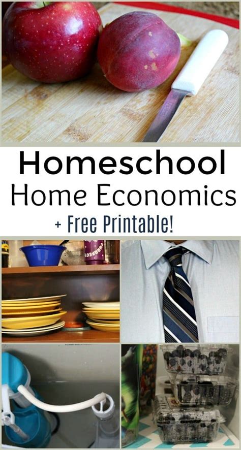 Thinking About Adding Homeschool Home Economics To Your School List