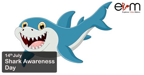 14th July Shark Awareness Day Explainer Video Makers