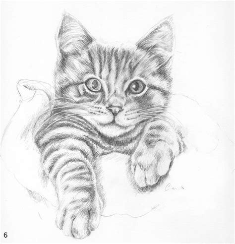 Pin By 日本妹 On Bleistift Kunstzeichnungen Pencil Drawings Of Animals