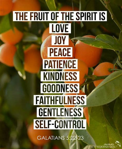Fruit Of The Spirits Love Joy Peace Patience Kindness Goodness Faithfulness Gentleness
