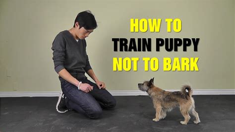 Online Dog Training How To Train Puppy Not To Bark Teach Dog To Stop