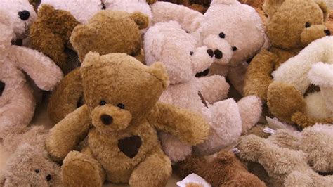 Warning Issued Over Teddy Bear Choking Risk Newshub