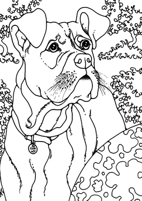Boxer Dog Play Outside Coloring Pages : Best Place to Color | Dog coloring page, Coloring pages