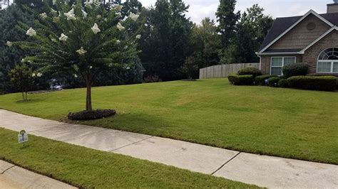 Our staff is friendly and we only suggest products that are suited to your application. Browse Our Gallery | Alliance Turf, Shrub and Pest