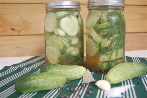 Small Batch Refrigerator Dill Pickles Little Frugal Homestead