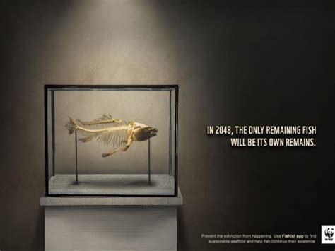 Wwf Earth Hour Direct Advert By Leo Burnett Candle Box Ads Of The