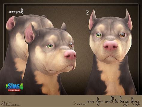 The Sims Resource Dog Ears By Mahocreations Sims 4 Downloads