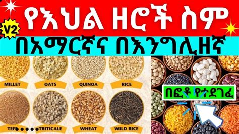 የእህል ዘሮች ስም ከፎቶ ጋር Names Of Grains Oil Seeds And Pulses In English