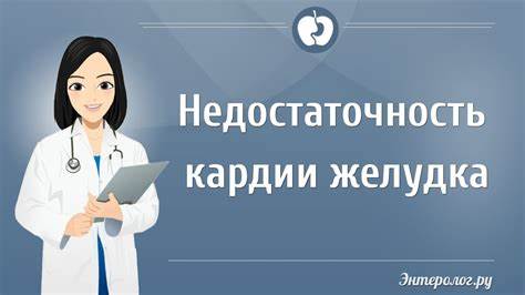 Недостаточность розетки кардии диета Что такое недостаточность кардии желудка - YouTube Что такое недостаточность кардии желудка - YouTube Недостаточность розетки кардии диета