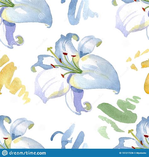 White Lily Floral Botanical Flowers Watercolor Background Illustration