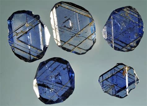 Anamushialas Tiny Japanese Gems 1mm Long Zeiss Luminar Flickr