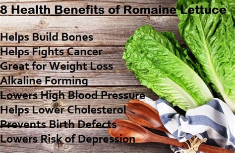 Health Benefits Of Lettuce Make It A Superfood So Good For Your Salad