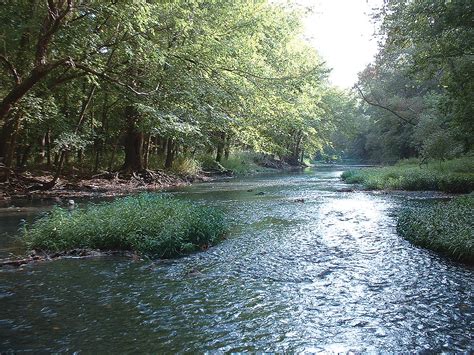 america-s-wild-scenic-rivers-american-profile