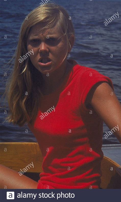 Jaws 2 1978 Stock Photos And Jaws 2 1978 Stock Images Alamy