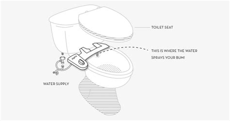 Tushy A New Bidet From The Maker Of Thinx Is The Best Favor You Can Do For Your Bottom