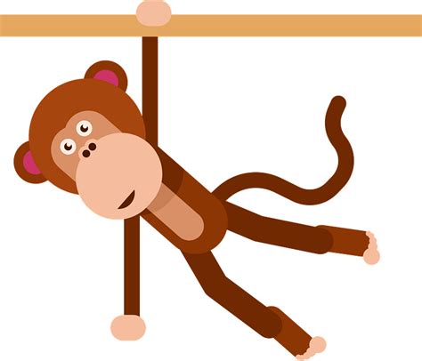 Monkey Hanging On Branch Clipart Free Download Transparent Png