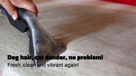 Westcoast building services has been providing carpet cleaning and janitorial services to clients in san jose, santa clara, sunnyvale, milpitas and throughout this means that their licenses may not be up to date to operate in gilroy or ca. Upholstery cleaning, Environmental Carpet Care, Malibu CA ...