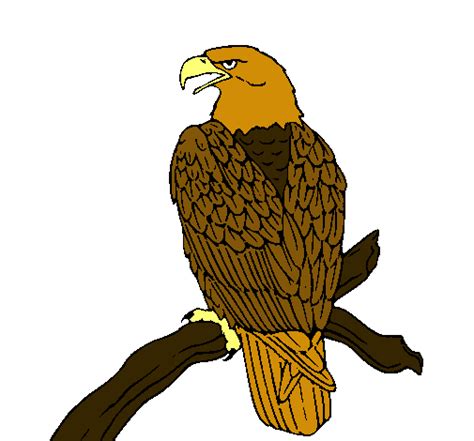 Dibujo De Águila En Una Rama Pintado Por Aguila En El Día