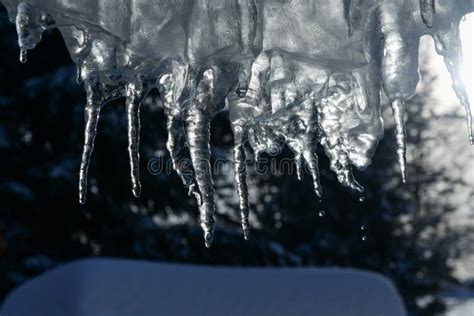 Close Up Of Thick Blue Ice And Many Icicles Stock Photo Image Of
